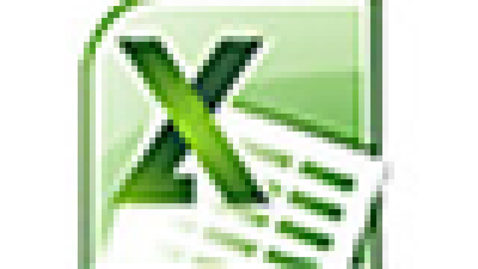 Microsoft Excel - Download | NETZWELT