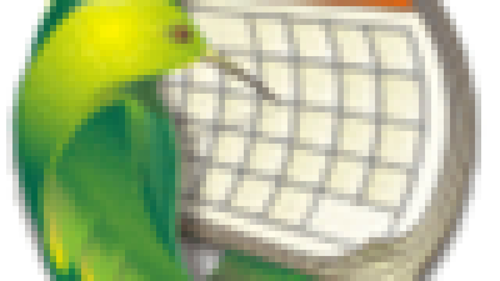 Mozilla Sunbird - Download | NETZWELT