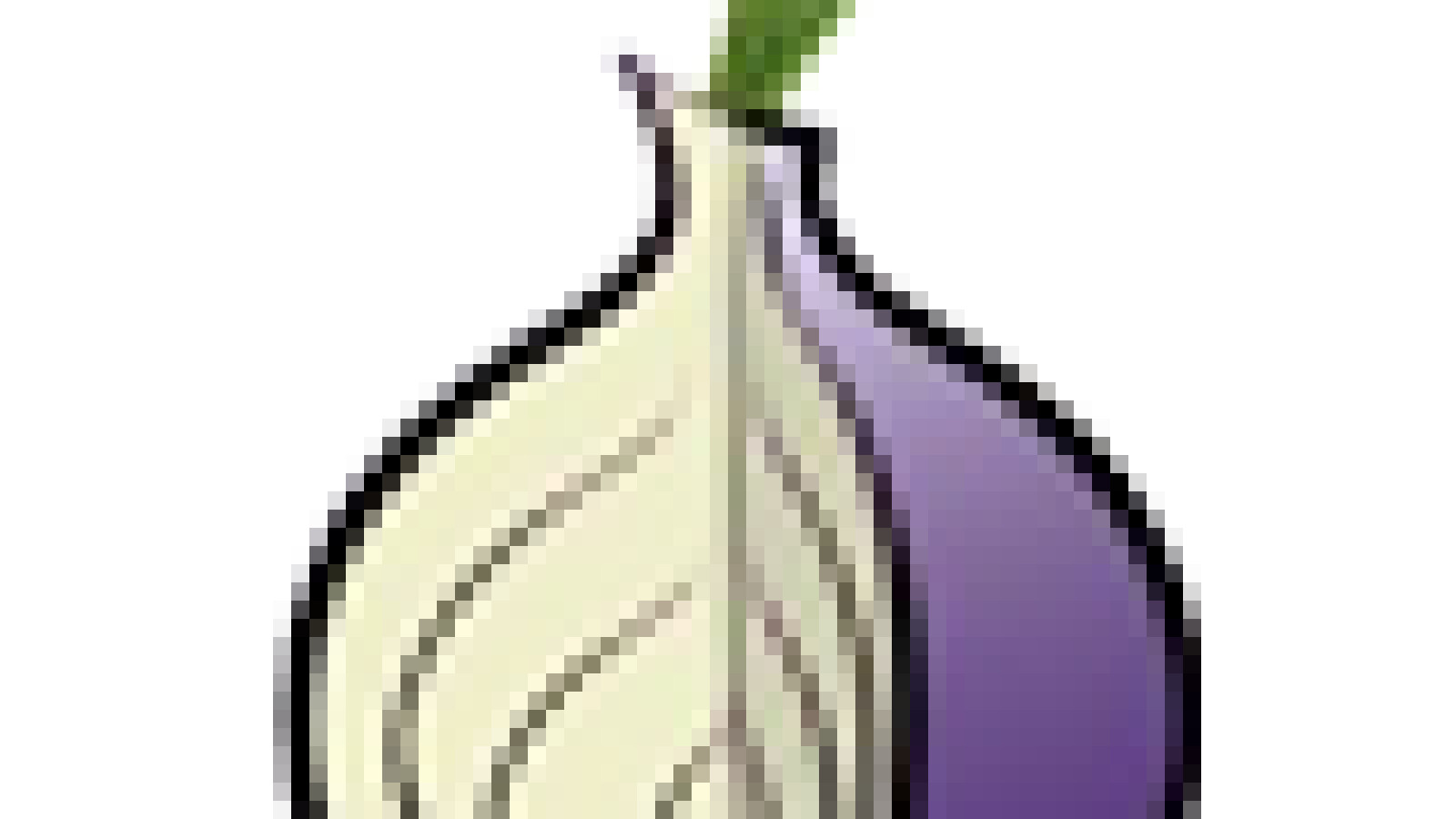 Tor browser и vidalia hudra уничтожение марихуаны