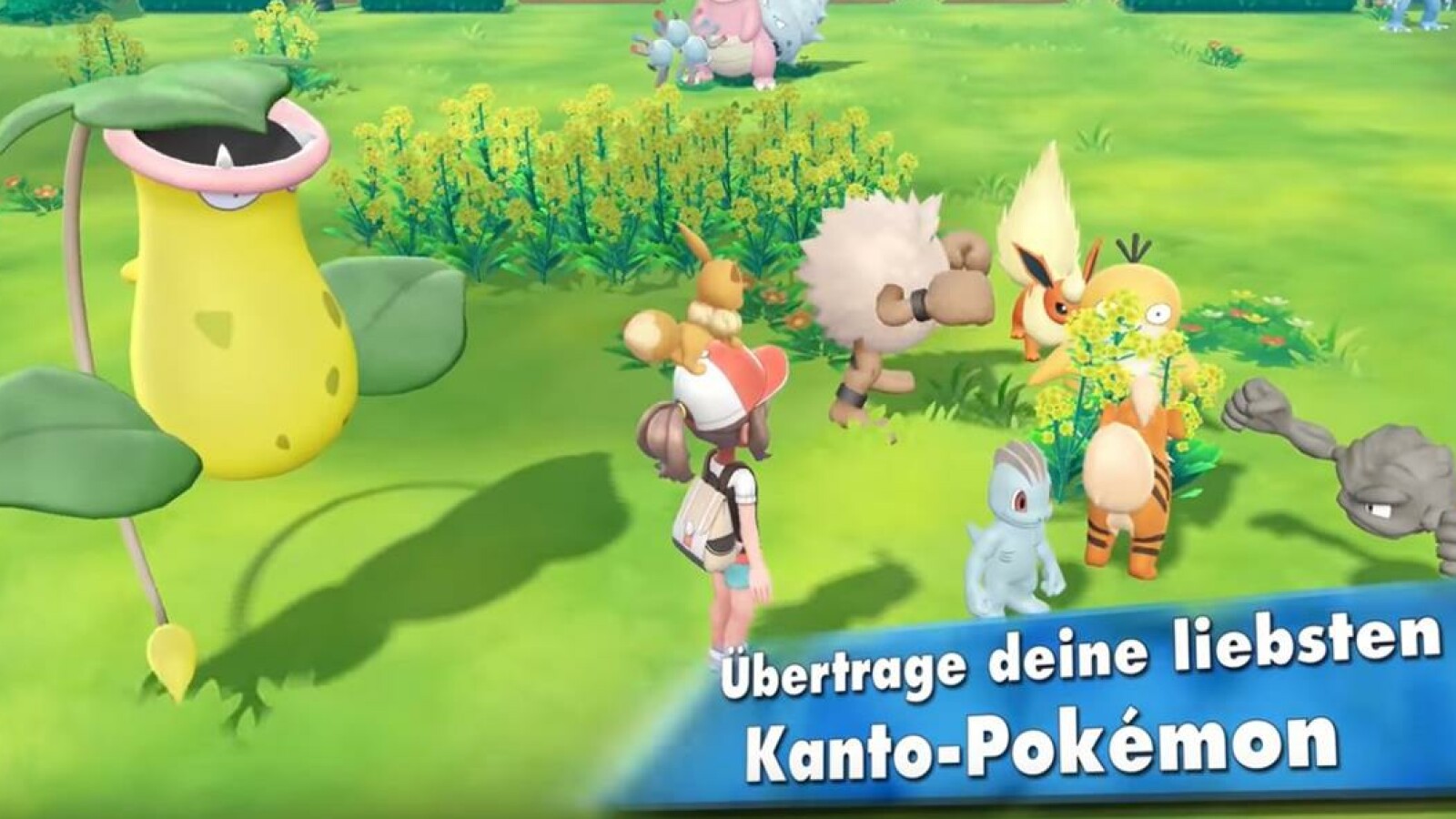 Pokémon Go So übertragt Ihr Wesen In Lets Go Pikachu