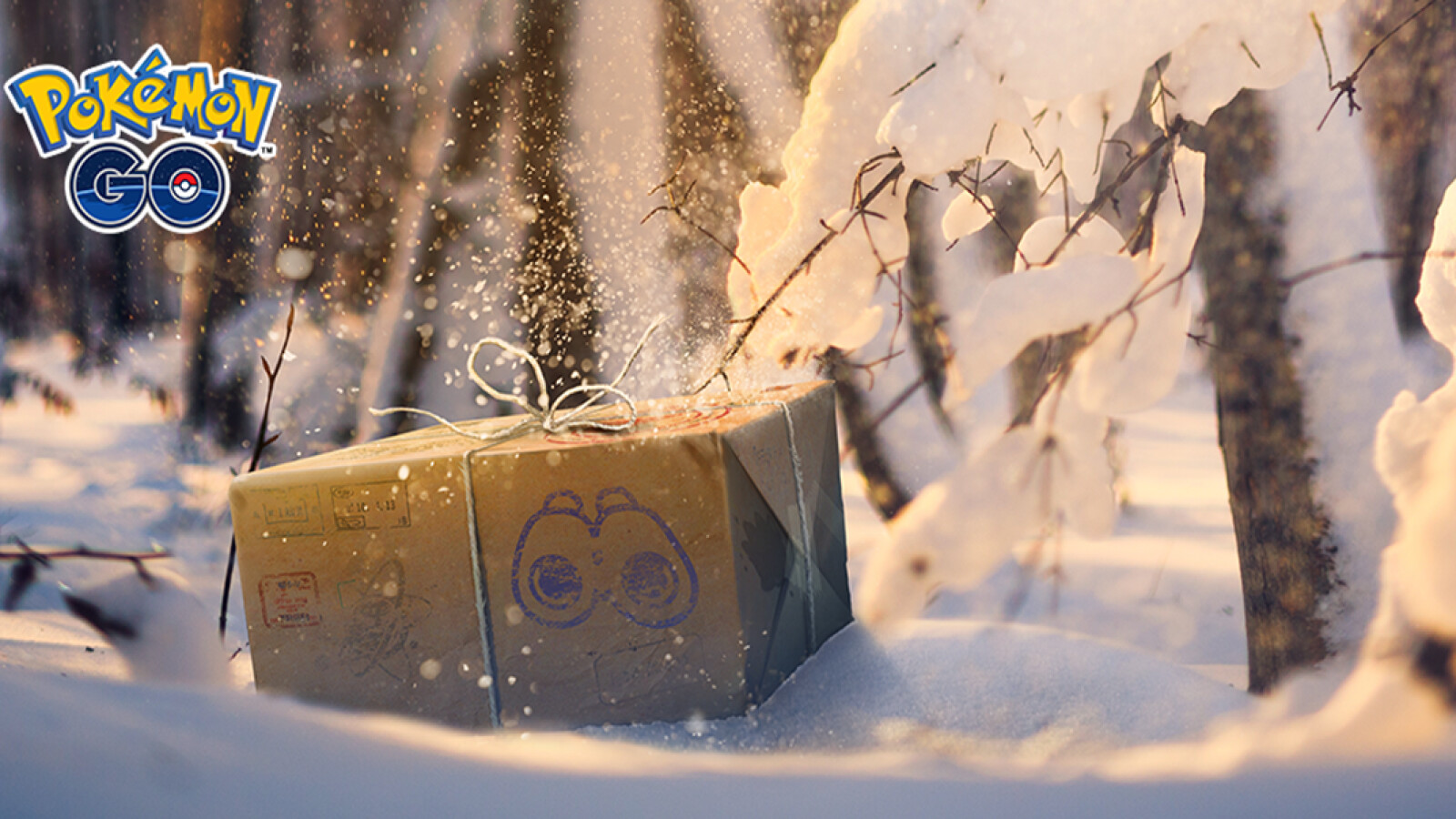 Pokémon GO JanuarEvents stehen fest alle wichtigen Termine & Boni NETZWELT
