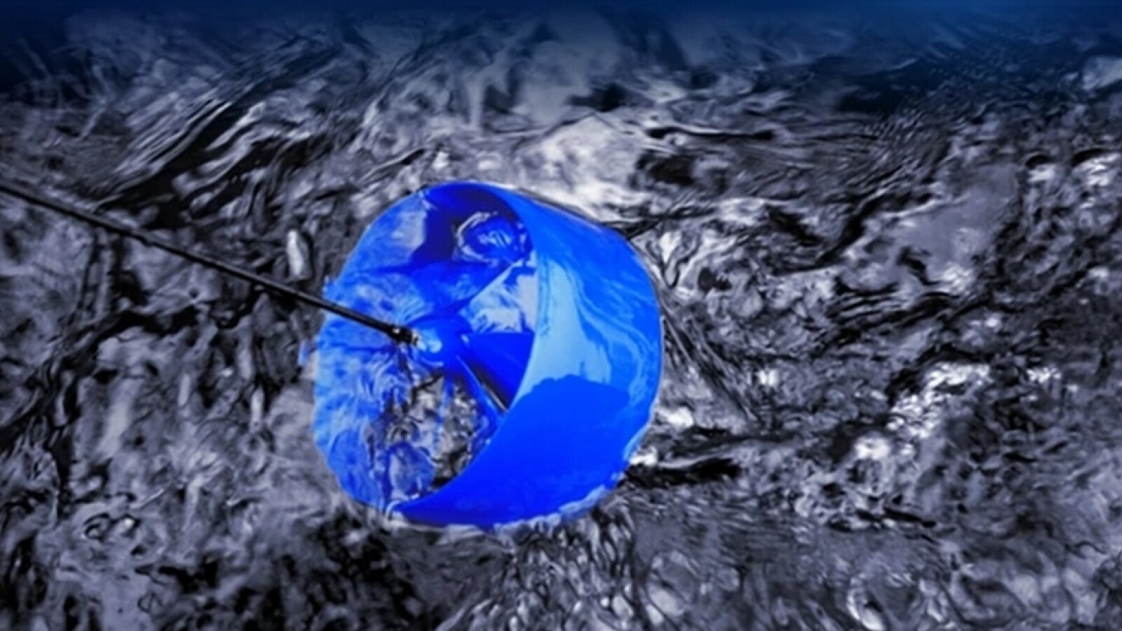 Blue Freedom | NETZWELT