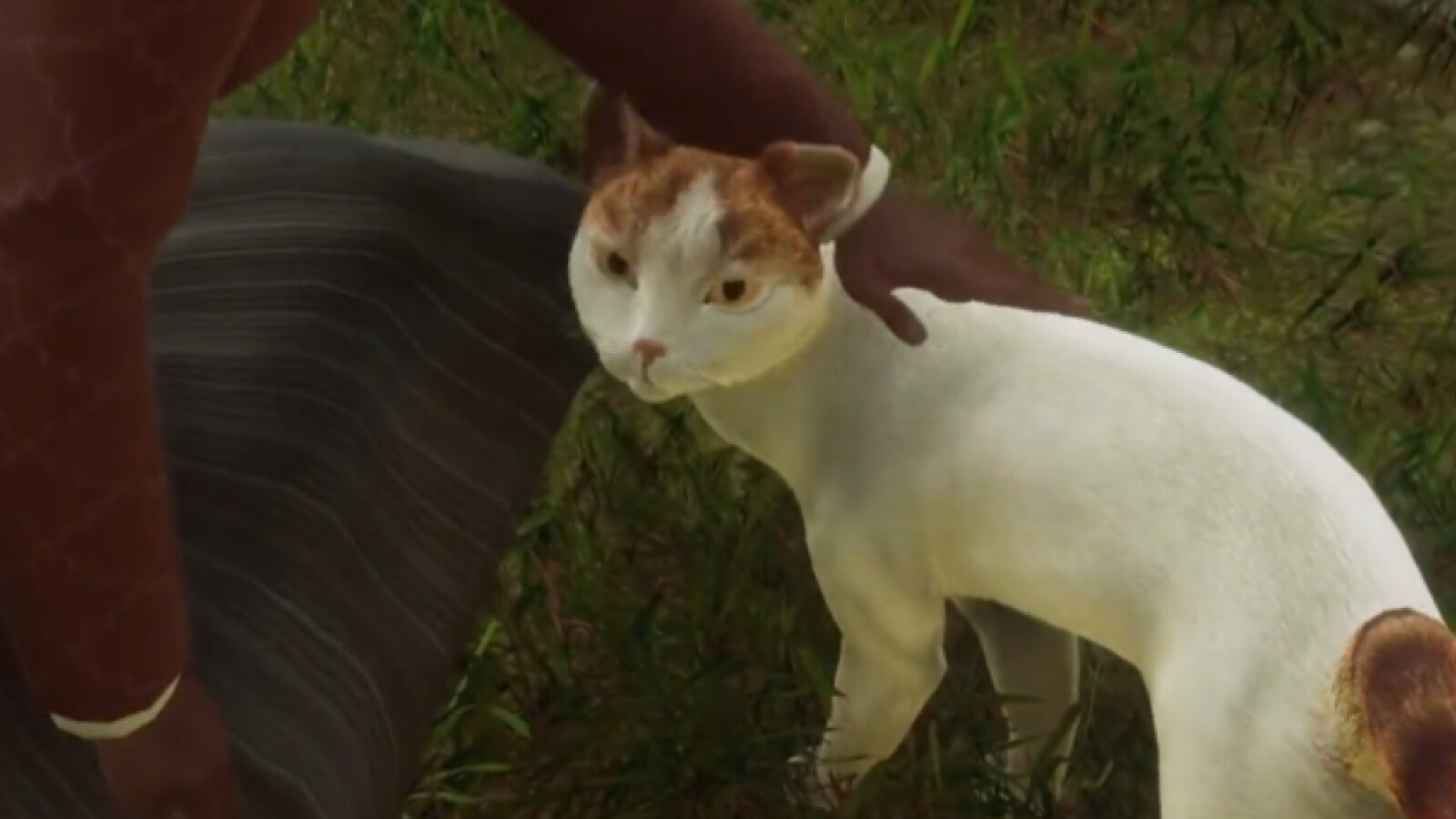 Hogwarts Legacy Entwickler machen Katzen zu den tödlichsten Gegnern NETZWELT