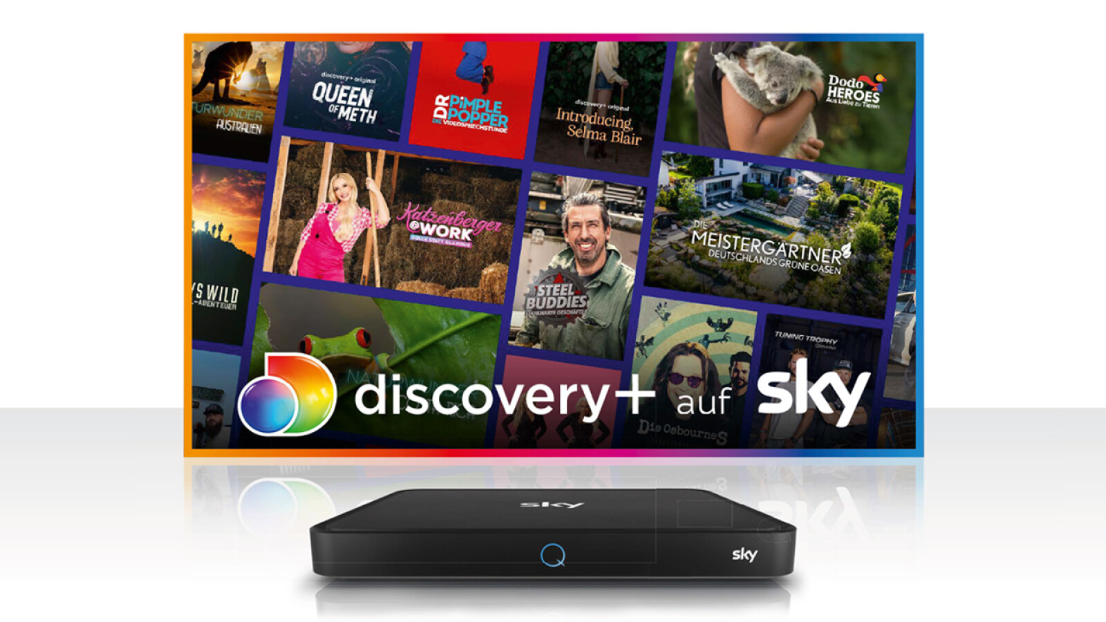 Discovery+ über Sky aktivieren: So verknüpft ihr eure Konten - How To Cancel Discovery Plus On Sky