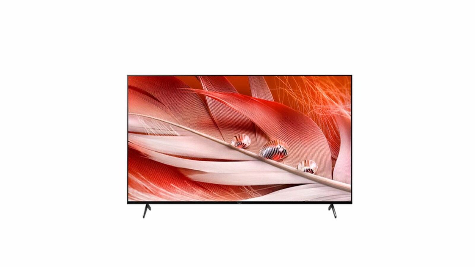 TopTVs für NextGenKonsolen NETZWELT