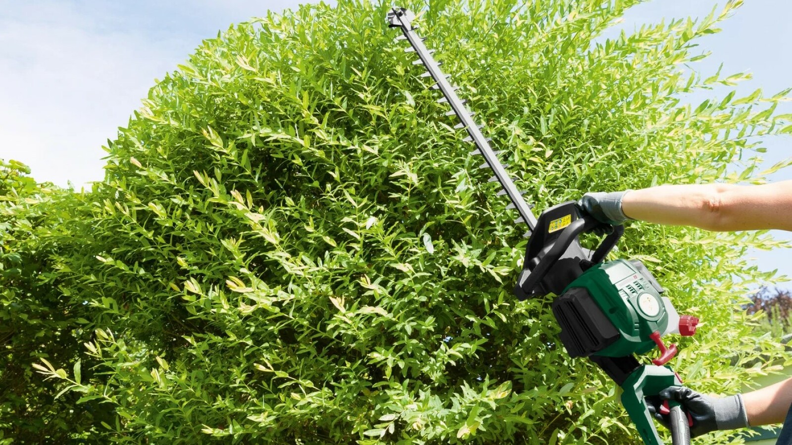 Gegen den Wildwuchs im Garten Kabellose und leistungsstarke