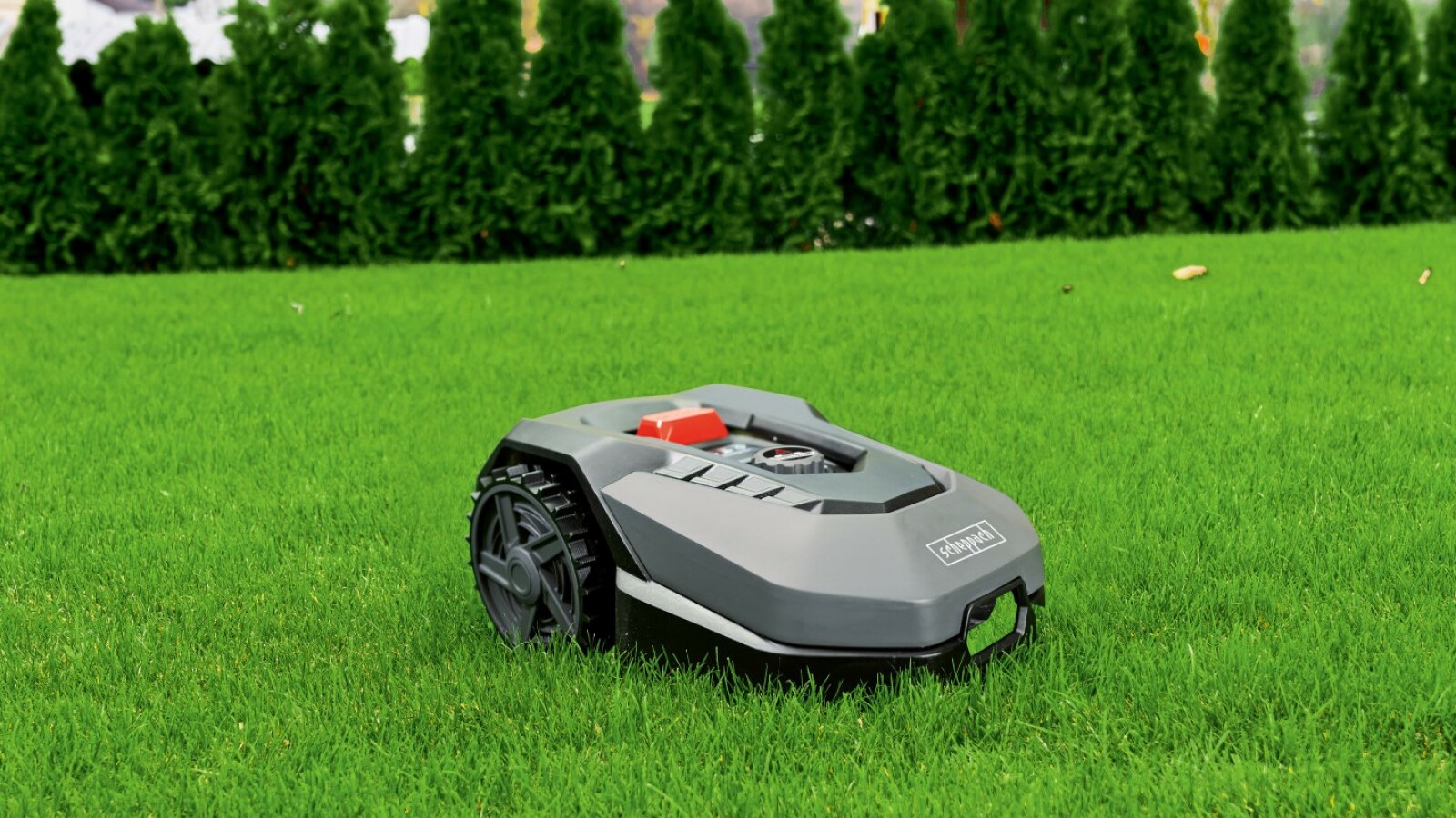 Perfekter Rasen ohne Arbeit Aldi verkauft günstigen Mähroboter für