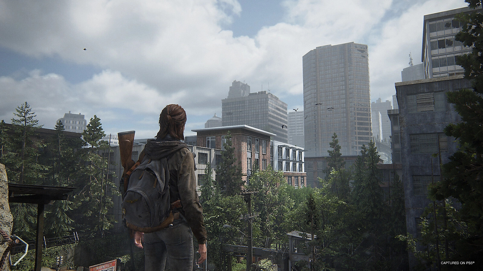 The Last of Us Part 2 Remastered Entwickler warnt Dieser Modus soll