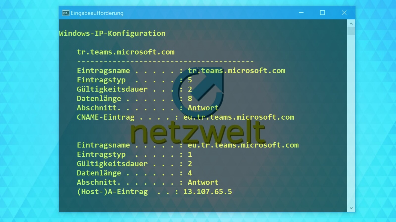 Windows 24: DNS-Cache leeren und Surfspuren verwischen - So geht´s