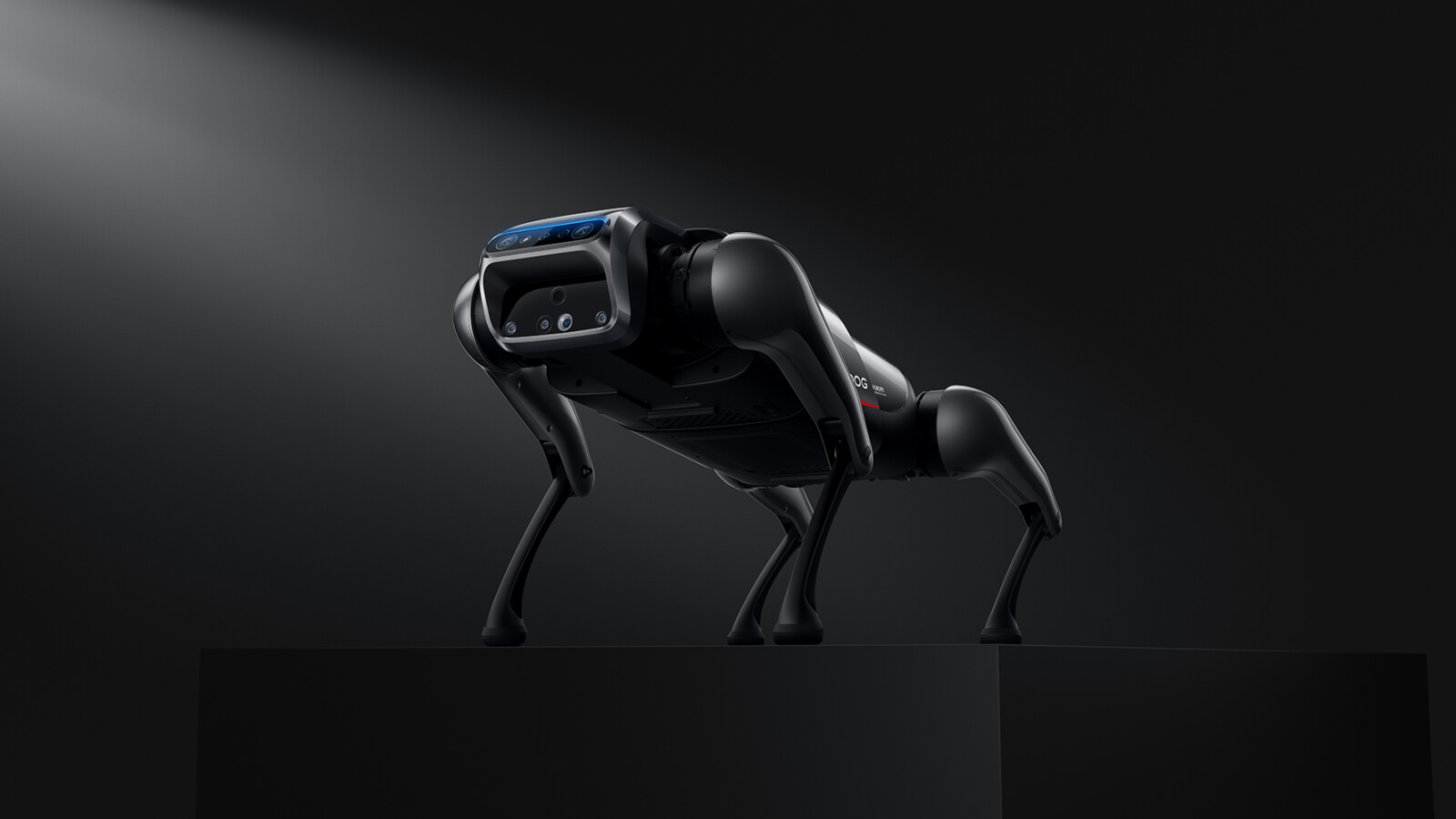 Auf den (Robo)hund gekommen: Xiaomi präsentiert Cyber-Vierbeiner - Vimarsana News