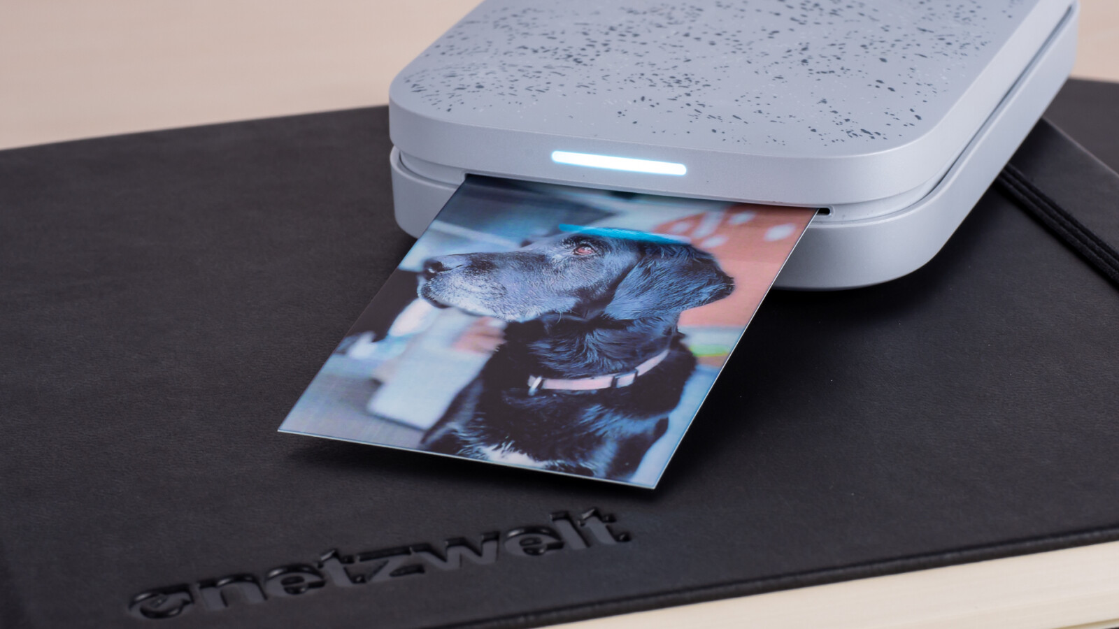 HP Sprocket in Bildern | NETZWELT