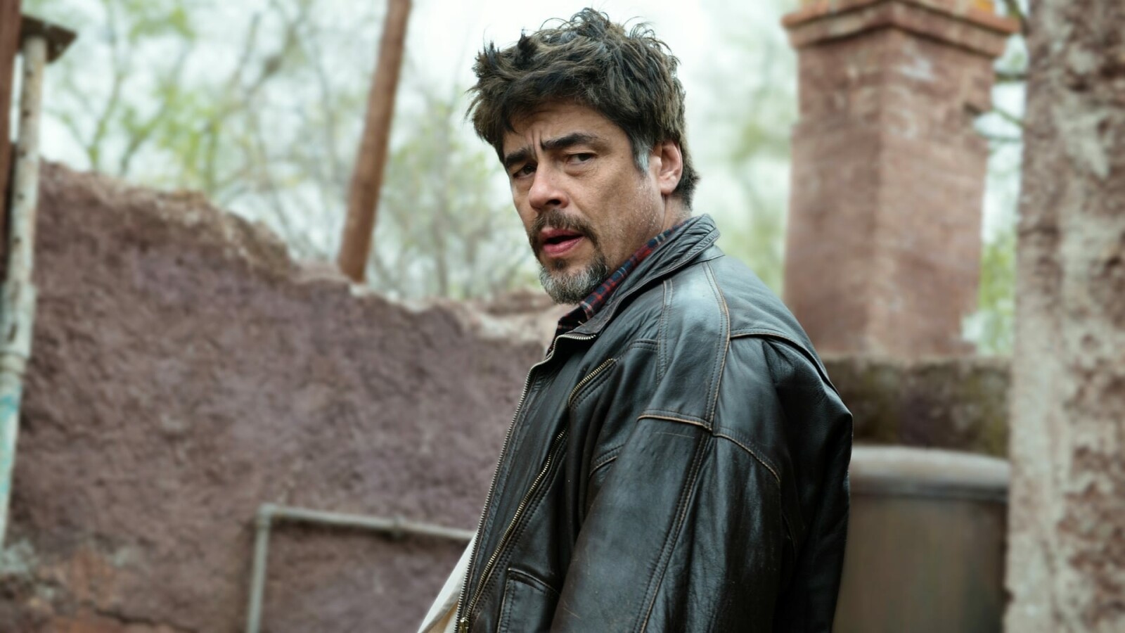Reptile: Benicio del Toro und Justin Timberlake im neuen Netflix