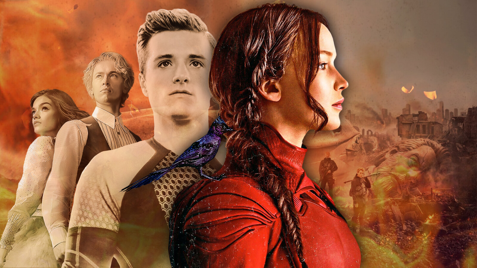 Die Tribute von Panem So seht ihr die Filme in der chronologisch