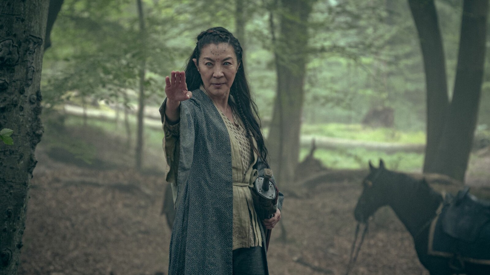 The Witcher Blood Origin Wird es eine zweite Staffel auf Netflix