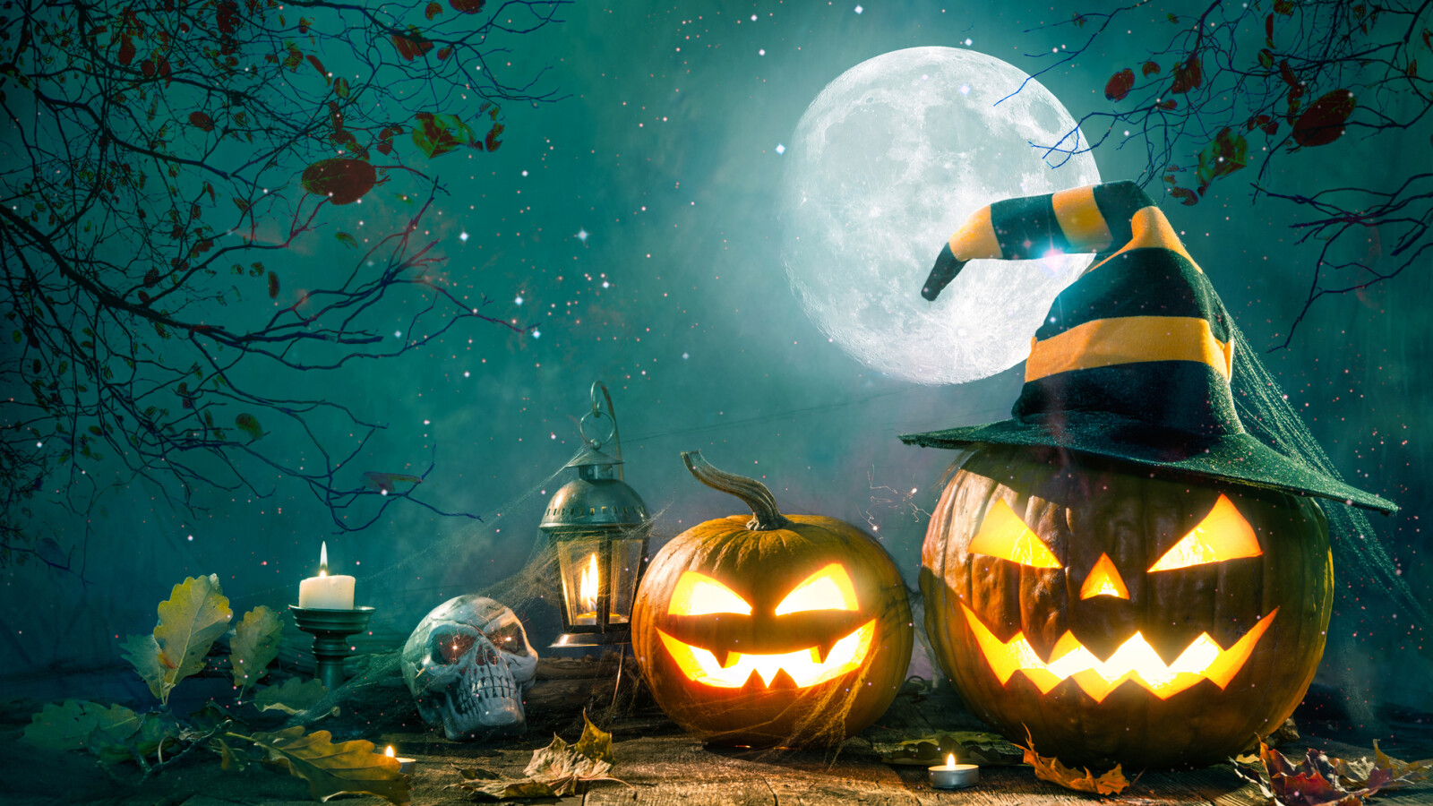 Halloween 2024 Alles rund um Bedeutung, Traditionen, Serien und Filme