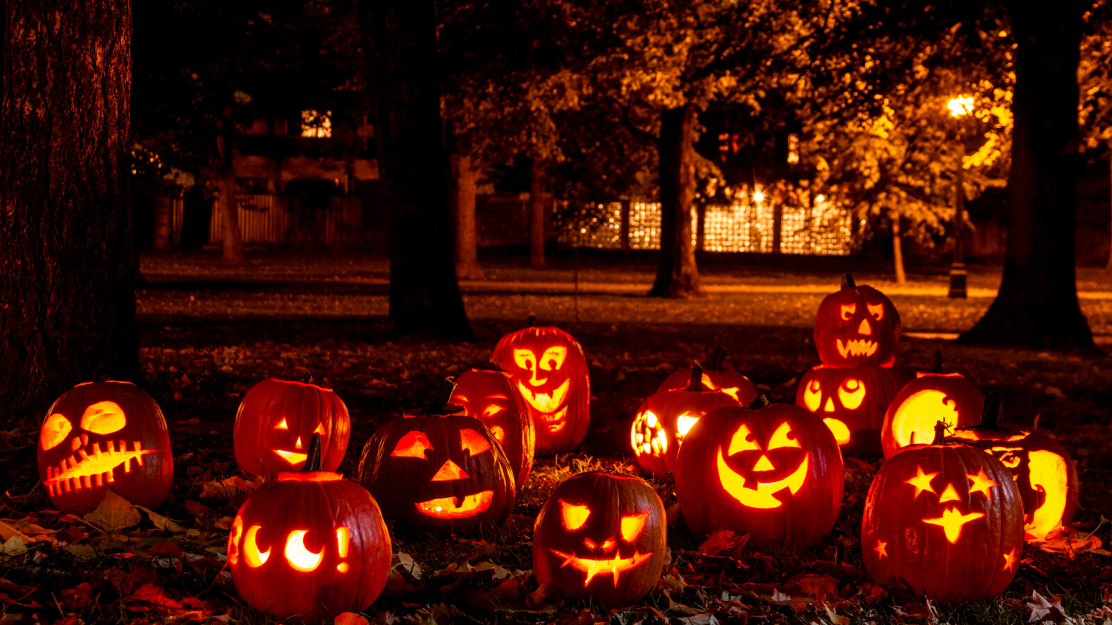 Halloween Sprüche Gruselige Grüße für Kinder und Erwachsene NETZWELT