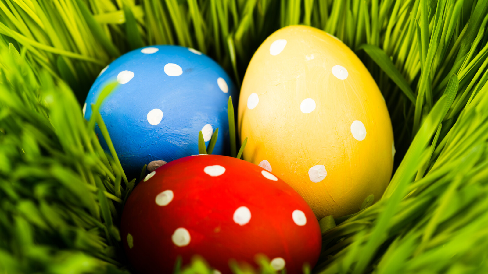 what-does-easter-egg-mean-network-igamesnews