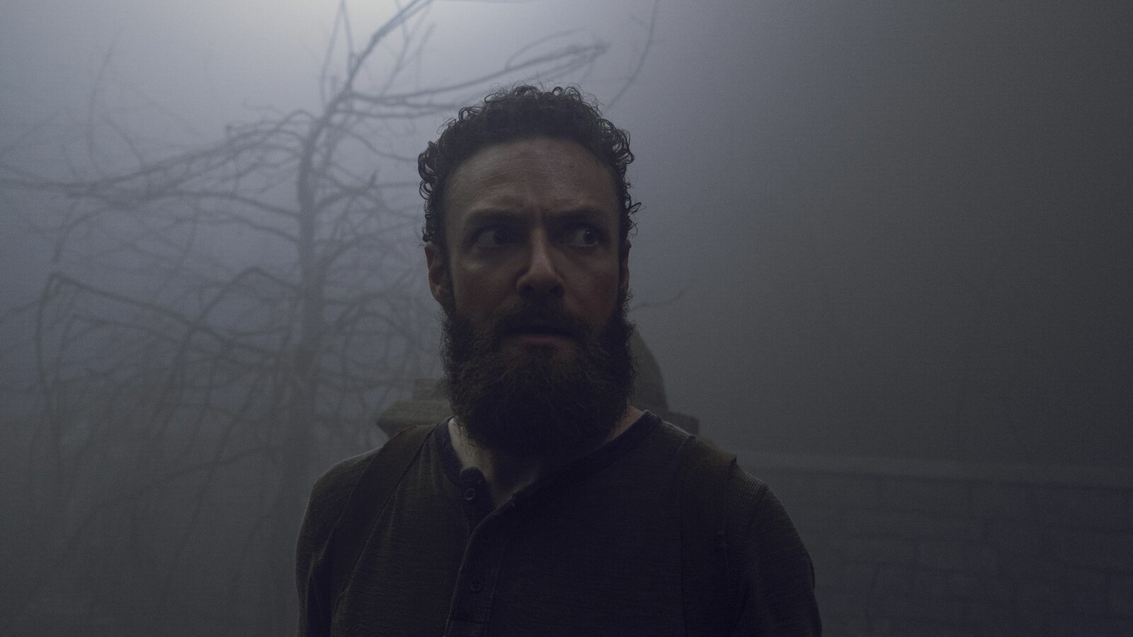 The Walking Dead Staffel 9 Folge 8 Stream www.netzwelt.de