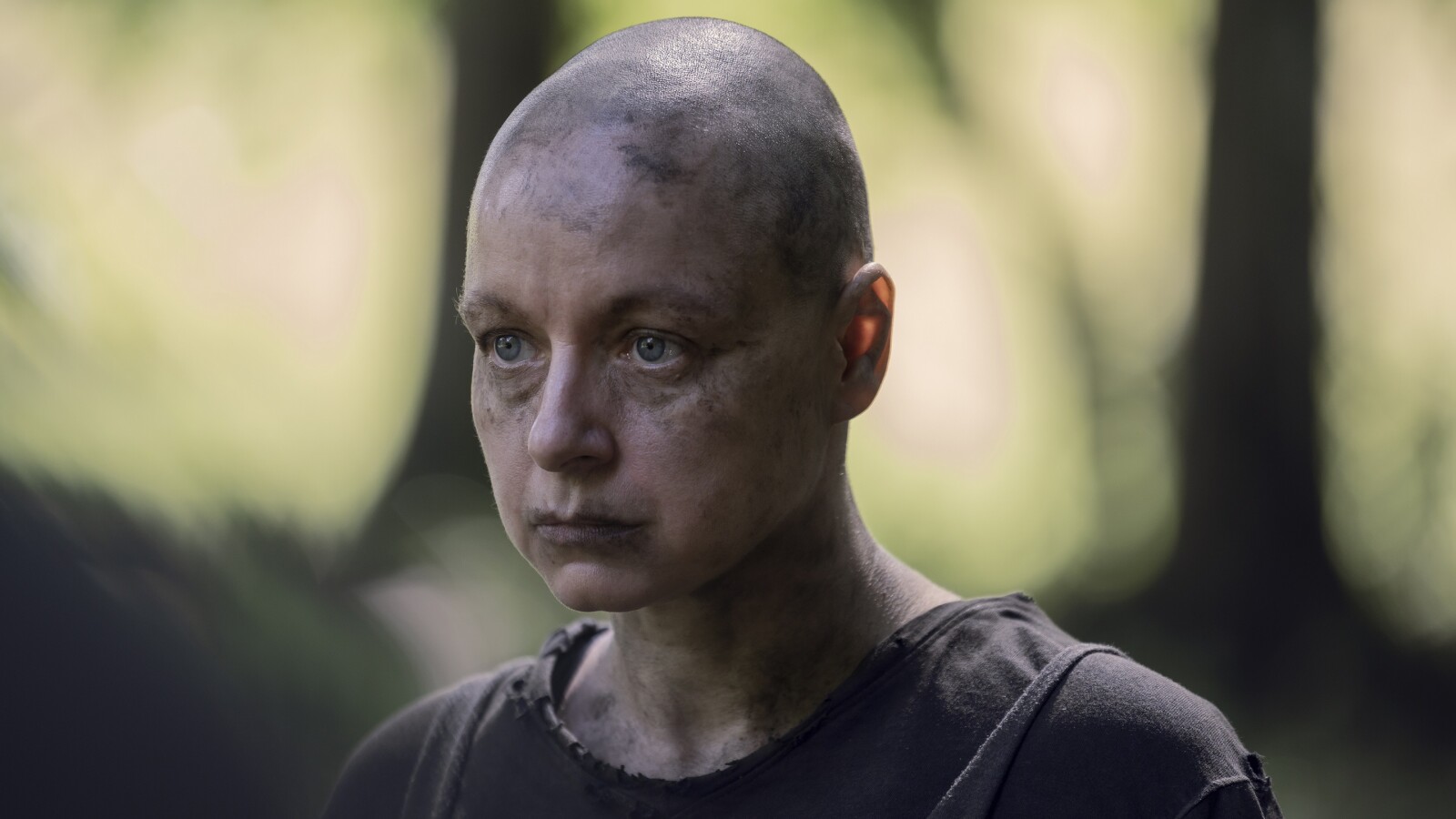 Wer Stirbt In Staffel 10 Walking Dead www.netzwelt.de