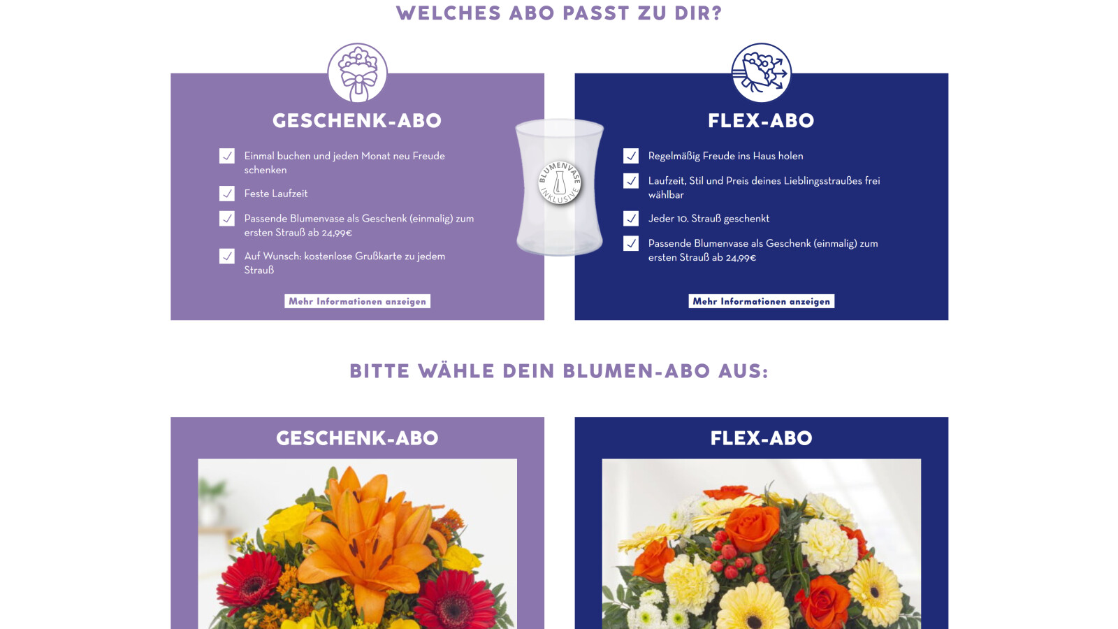 Einblick Aldi Blumen NETZWELT