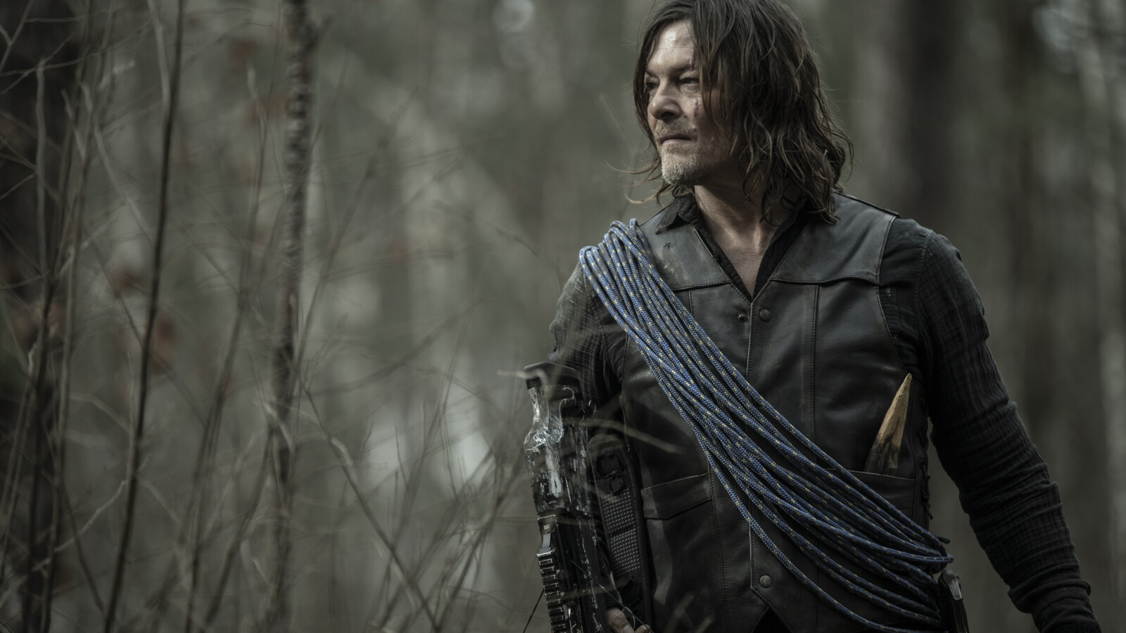 The Walking Dead "Daryl Dixon" und weitere Spinoffs landen endlich bei Netflix! Doch es gibt
