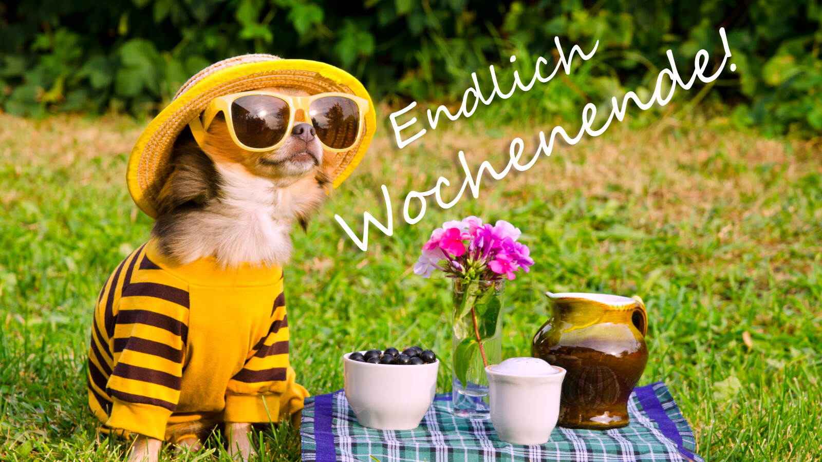 Wochenendgrüße via WhatsApp Die besten Sprüche, um ein schönes