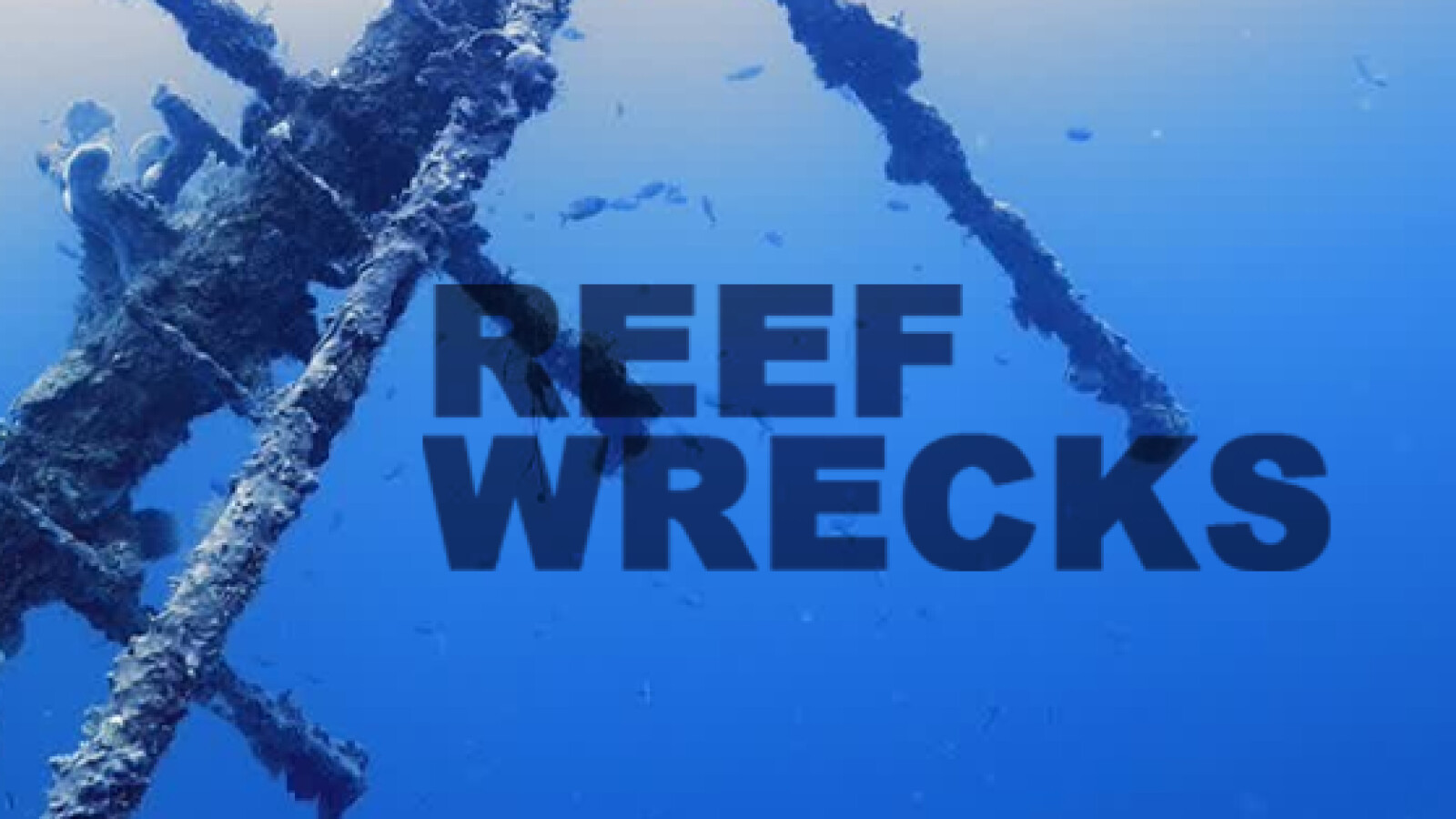 Reef Wrecks Sendetermine & Stream Mai/Juni 2024 NETZWELT