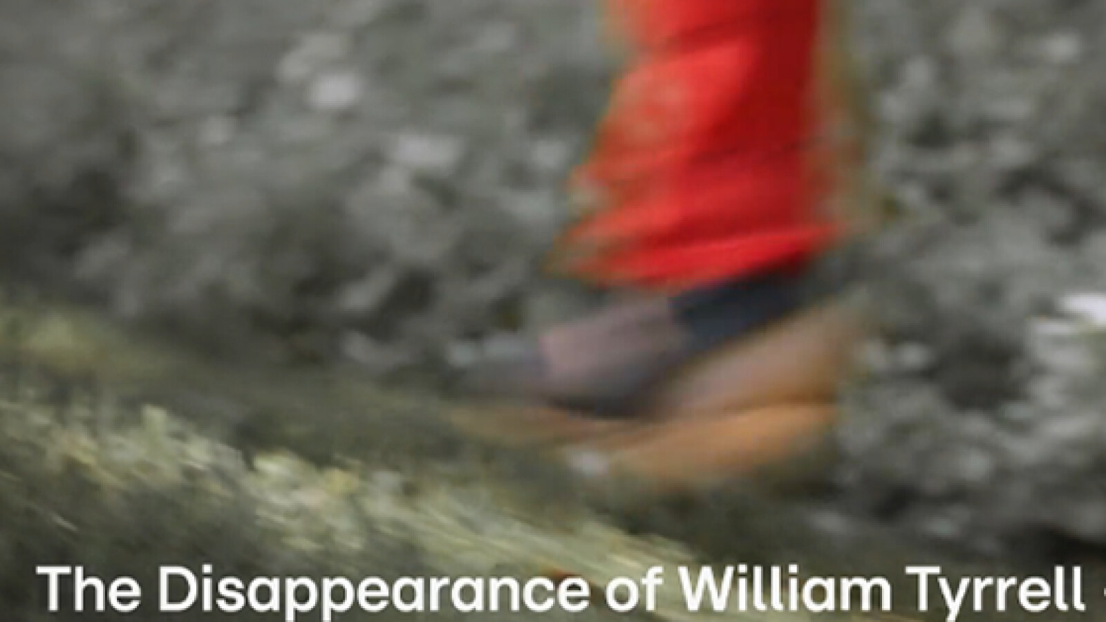 The Disappearance of William Tyrrell Sendetermine & Stream Januar