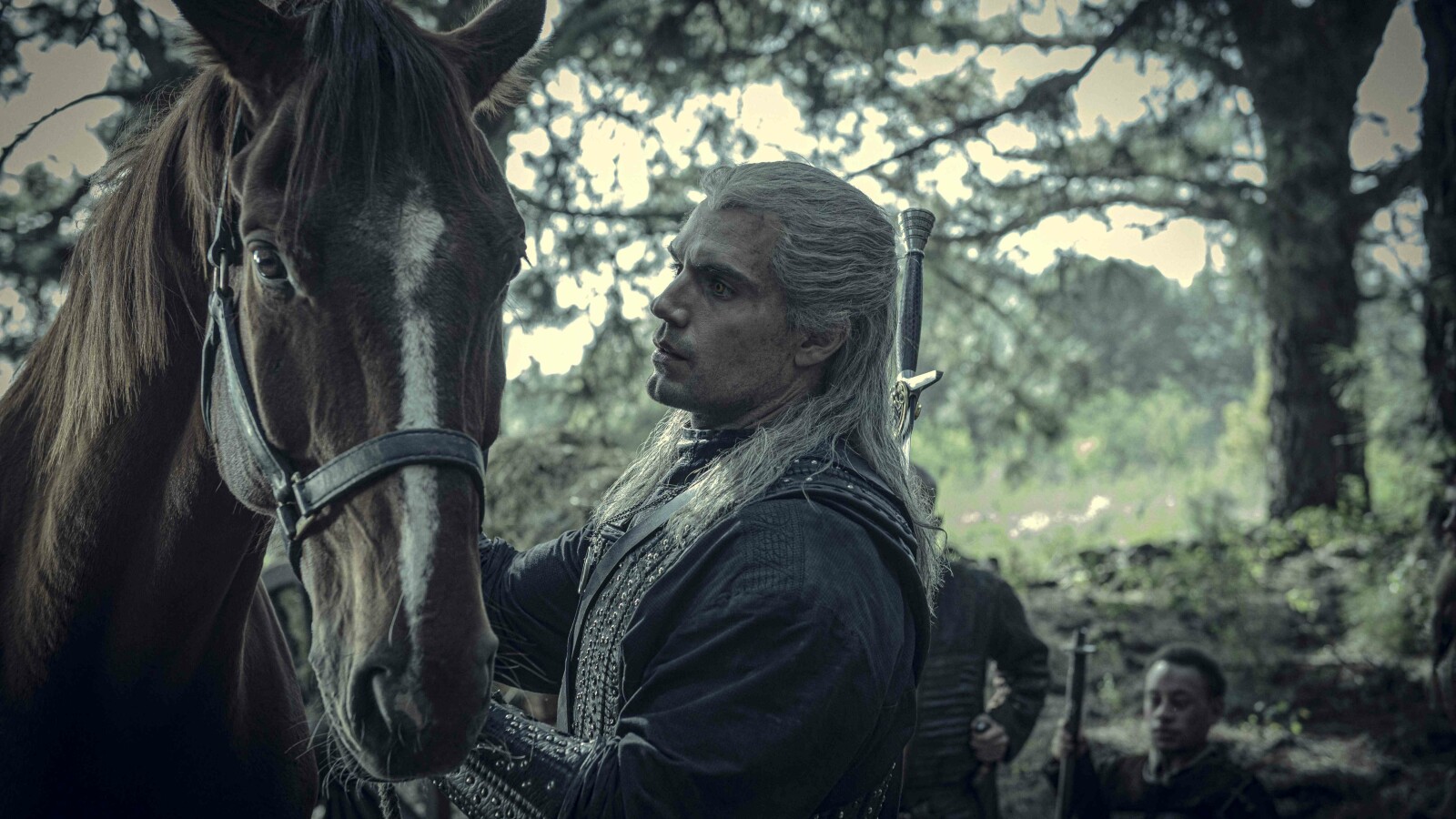 the witcher show the witcher show