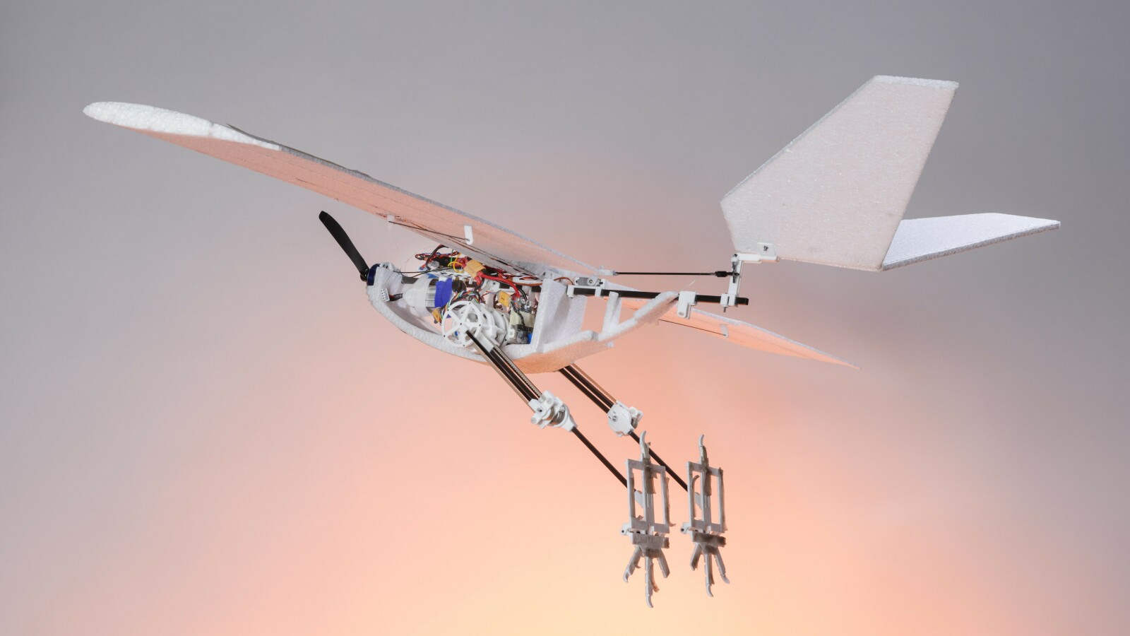 Drohne im Vogel-Design: Neue Bauweise soll diese Vorteile gegenüber DJI ...