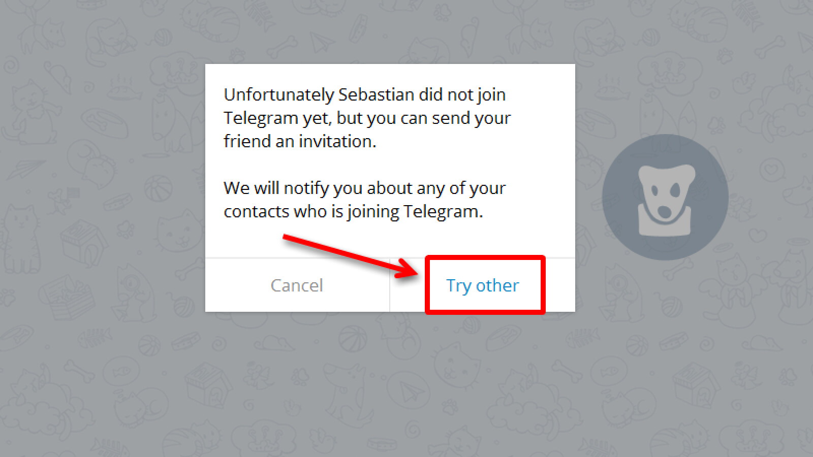 Mit dem Telegram Messenger Nachrichten versenden so geht’s NETZWELT