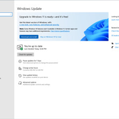 Windows 11-FAQ: Gratis-Update, Release, Neuerungen - Das Müsst Ihr ...