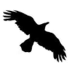opennumismat download opennumismat download