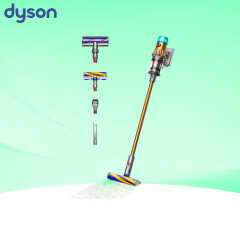 Dyson V12 mit Rabatt und Geschenk bei Dyson