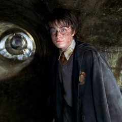 Harry Potter: Wie groß sind Basilisken?