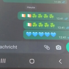 WhatsApp: Das bedeutet das grüne Herz-Emoji | NETZWELT