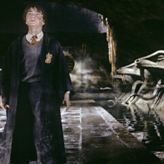 Harry Potter: Wie alt werden Basilisken?