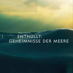 Vermisst | Sendetermine & Stream | September/Oktober 2022 | NETZWELT