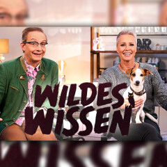 Wildes Wissen - Das tierische Quiz: So seht ihr die Vox-Quizshow im TV und Stream - alle Sendetermine