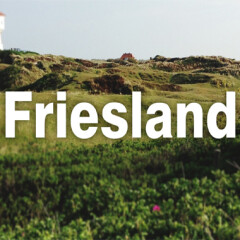 Friesland: So seht ihr den ZDF-Krimi im TV und Stream - alle Sendetermine