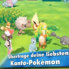 Pokémon Lets Go Pikachu Evoli Release Preis Und