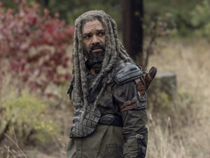 The Walking Dead: Wann kommt Staffel 10 zu Netflix? | NETZWELT