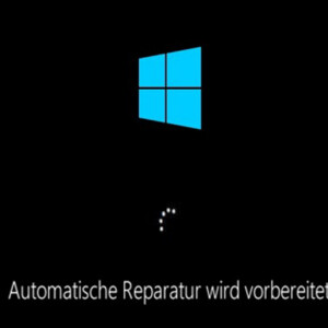 Windows 10 Automatische Reparatur Deaktivieren Endlosschleife