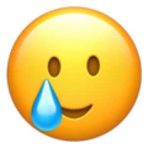 Emoji Smiling Face with Tear