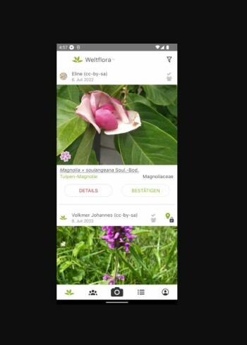 Download NETZWELT