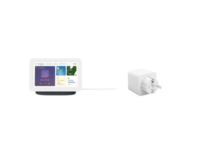 Google Nest Hub (2nd gen) + Philips Smart Plug