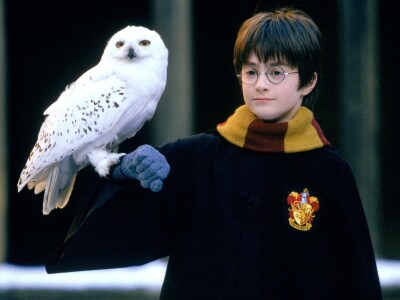 harry potter sendetermine 2019 harry potter sendetermine 2019