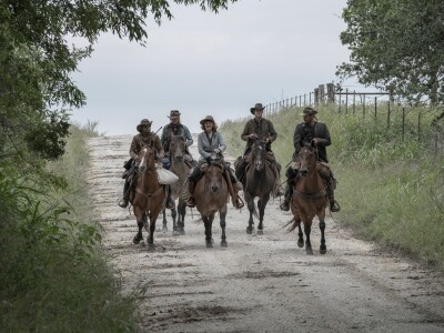 Fear The Walking Dead Stream Kinox