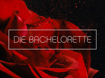 Supertalent 2019 Sendetermine