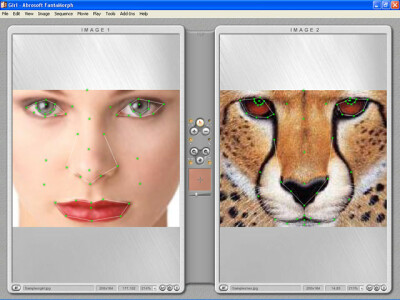 Morphing-Software: Mit diesen Apps startet ihr skurrile Face-Morphs | 8 ...